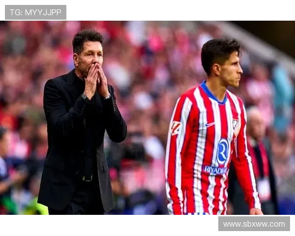 小西蒙尼:小蜘蛛加盟让我们倍感兴奋 小西蒙尼:小蜘蛛加盟让我们倍感兴奋